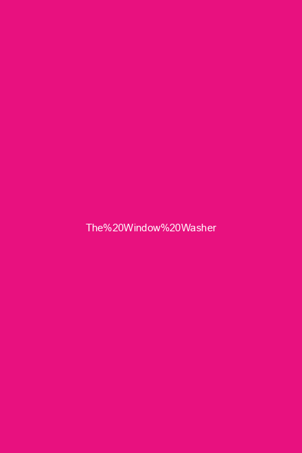 The Window Washer
